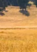 Жизнь обетованная (2002) в хорошем качестве смотреть онлайн Жизнь обетованная (2002) фильм в хорошем качестве смотреть онлайн