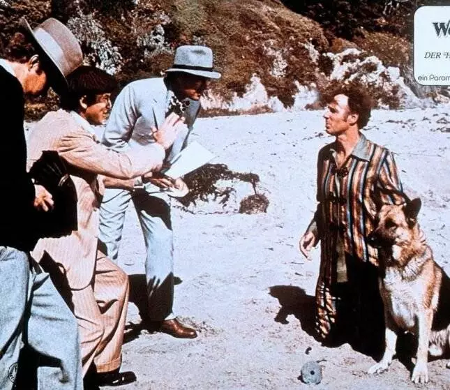 Вон Тон Тон – собака, которая спасла Голливуд (1976) смотреть онлайн Вон Тон Тон – собака, которая спасла Голливуд (1976) фильм смотреть онлайн