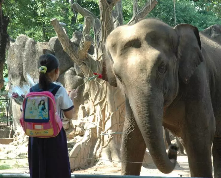 Сова и Воробей (2007) смотреть онлайн бесплатно Сова и Воробей (2007) фильм смотреть онлайн бесплатно