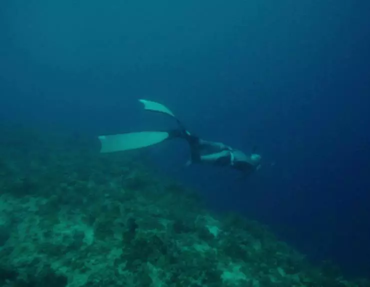 Глубь (2018) смотреть онлайн Глубь (2018) фильм смотреть онлайн