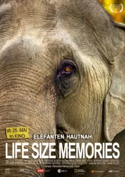 Слоны как они есть / Life Size Memories (2012) фильм смотреть онлайн в хорошем качестве