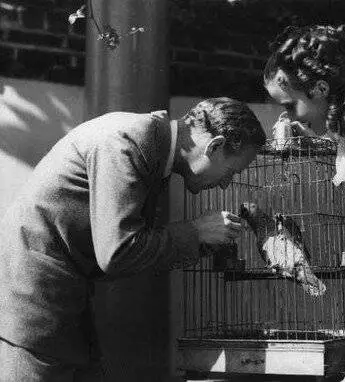 Алый первоцвет (1934) смотреть онлайн Алый первоцвет (1934) фильм смотреть онлайн