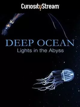 Глубокий океан: Свет в бездне / Deep Ocean: Lights in the Abyss (2016) фильм смотреть онлайн Глубокий океан: Свет в бездне / Deep Ocean: Lights in the Abyss (2016) фильм смотреть онлайн в хорошем качестве