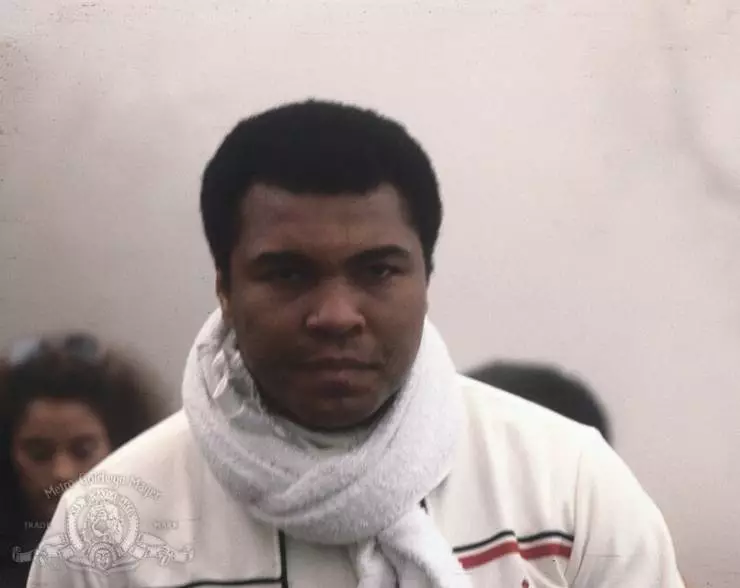 Тело и душа (1981) в хорошем качестве смотреть онлайн Тело и душа (1981) фильм в хорошем качестве смотреть онлайн