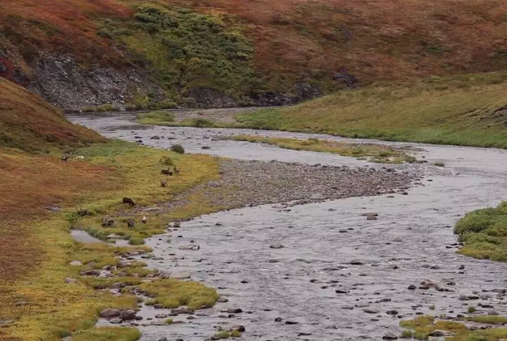 Дыхание тундры (2012) смотреть онлайн бесплатно Дыхание тундры (2012) фильм смотреть онлайн бесплатно