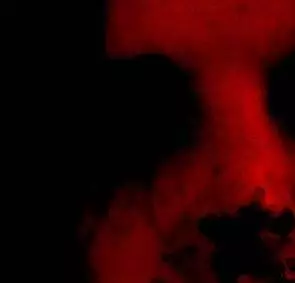 Вечная тьма (2006) в хорошем качестве смотреть онлайн Вечная тьма (2006) фильм в хорошем качестве смотреть онлайн