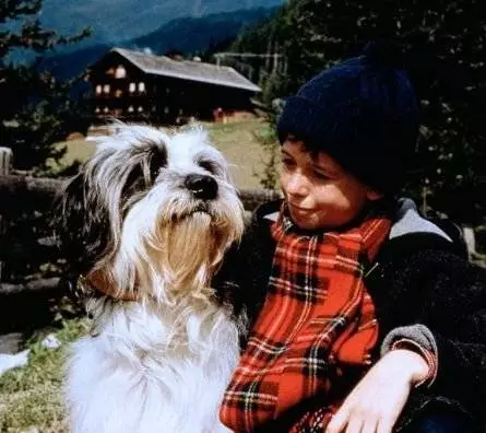 Рождество с Вилли Гавом (1994) смотреть онлайн Рождество с Вилли Гавом (1994) фильм смотреть онлайн