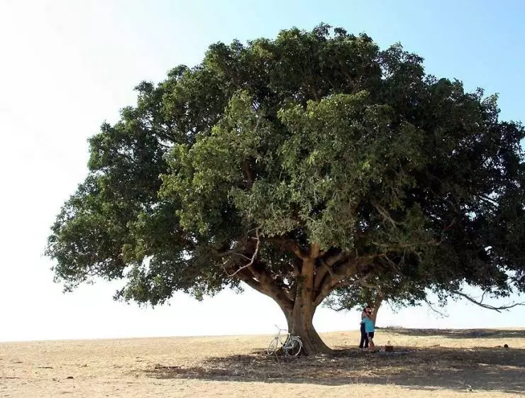 Безумная земля (2006) смотреть онлайн бесплатно Безумная земля (2006) фильм смотреть онлайн бесплатно