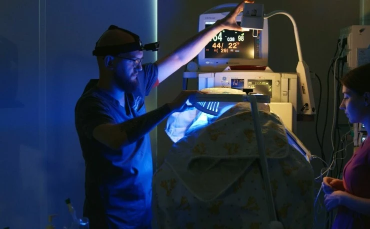 Путь новорожденного (2024) смотреть онлайн Путь новорожденного (2024) сериал смотреть онлайн