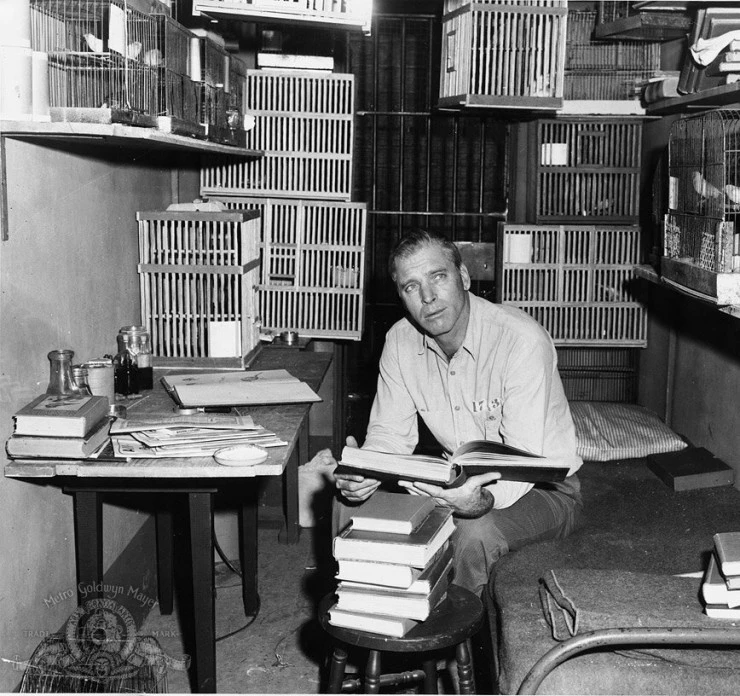 Любитель птиц из Алькатраса (1962) смотреть онлайн бесплатно Любитель птиц из Алькатраса (1962) фильм смотреть онлайн бесплатно