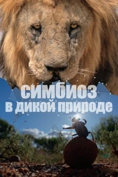 Симбиоз в дикой природе / Connection (2023) cериал смотреть онлайн в хорошем качестве