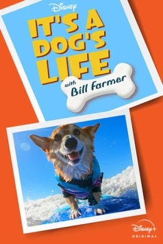 It's A Dog's Life (2020) cериал смотреть онлайн в хорошем качестве