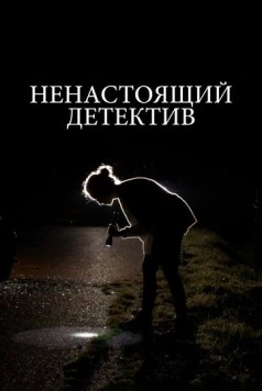 Ненастоящий детектив / Citizen Sleuth (2023) фильм смотреть онлайн в хорошем качестве