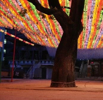 Как путешествовать с быком (2010) смотреть онлайн Как путешествовать с быком (2010) фильм смотреть онлайн