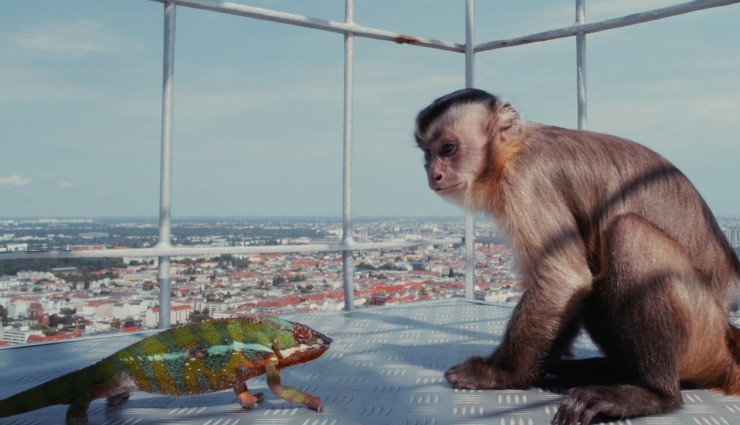 Побег из зоопарка (2024) смотреть онлайн Побег из зоопарка (2024) фильм смотреть онлайн