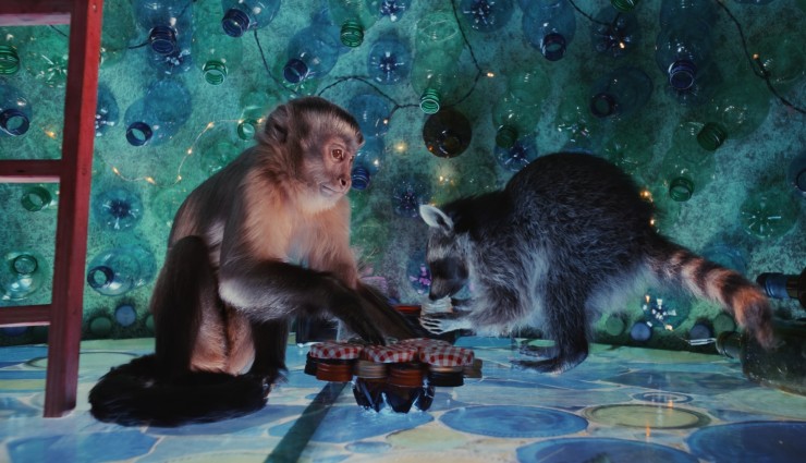 Побег из зоопарка (2024) смотреть онлайн бесплатно Побег из зоопарка (2024) фильм смотреть онлайн бесплатно