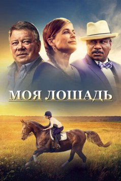Моя лошадь / A Sunday Horse (2016) фильм смотреть онлайн Моя лошадь / A Sunday Horse (2016) фильм смотреть онлайн в хорошем качестве