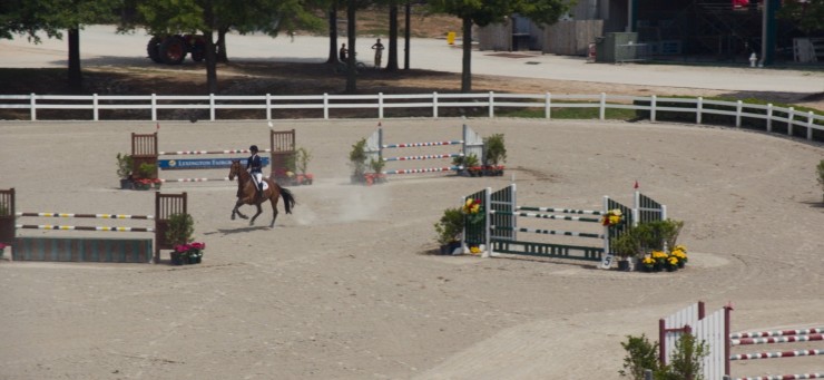 Моя лошадь (2016) смотреть онлайн Моя лошадь (2016) фильм смотреть онлайн