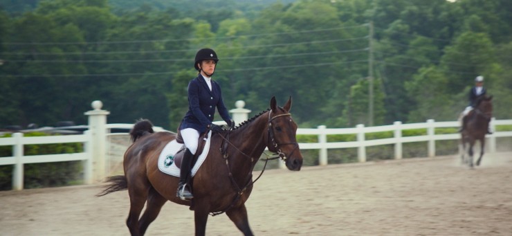 Моя лошадь (2016) смотреть онлайн бесплатно Моя лошадь (2016) фильм смотреть онлайн бесплатно