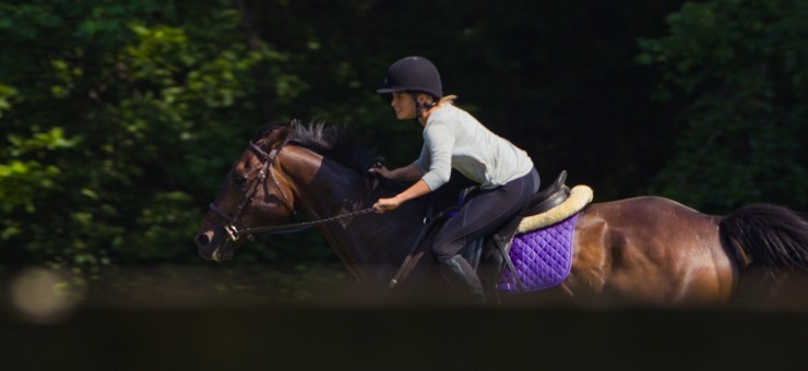 Моя лошадь (2016) в хорошем качестве смотреть онлайн Моя лошадь (2016) фильм в хорошем качестве смотреть онлайн