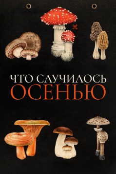 Что случилось осенью / Quand vient l'automne (2024) фильм смотреть онлайн в хорошем качестве