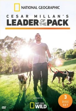Сесар Миллан: Вожак стаи / Cesar Millan's Leader of the Pack (2012) cериал смотреть онлайн Сесар Миллан: Вожак стаи / Cesar Millan's Leader of the Pack (2012) cериал смотреть онлайн в хорошем качестве