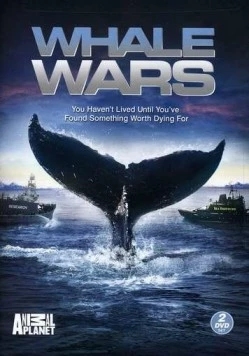 Китовые войны / Whale Wars (2008) cериал смотреть онлайн в хорошем качестве