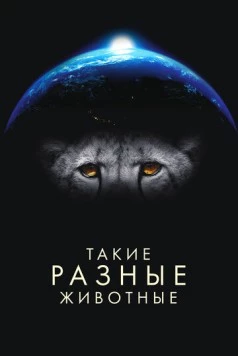 Такие разные животные / Life in the Animal Kingdom (2024) cериал смотреть онлайн в хорошем качестве