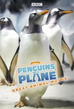 Пингвины на самолете: Передвижение великих животных / Penguins on a Plane: Great Animal Moves (2014) cериал смотреть онлайн в хорошем качестве