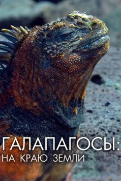 Галапагосы: На краю земли / Galapagos: The Edge of the World (2018) cериал смотреть онлайн Галапагосы: На краю земли / Galapagos: The Edge of the World (2018) cериал смотреть онлайн в хорошем качестве