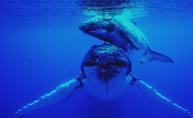 Земля без суши (2023) смотреть онлайн Земля без суши (2023) сериал смотреть онлайн