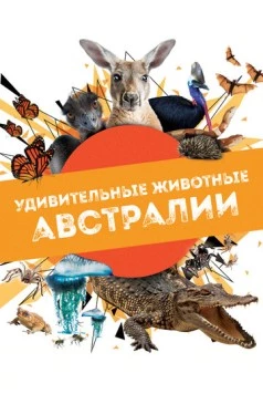 Удивительные животные Австралии / Australian Geographic Extraordinary Animals (2024) cериал смотреть онлайн в хорошем качестве