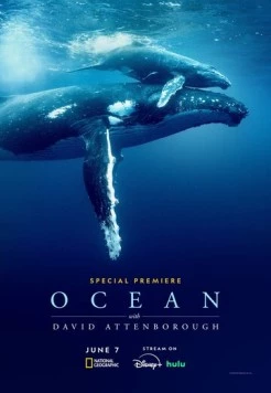 Дэвид Аттенборо: Океан / Ocean with David Attenborough (2025) фильм смотреть онлайн в хорошем качестве