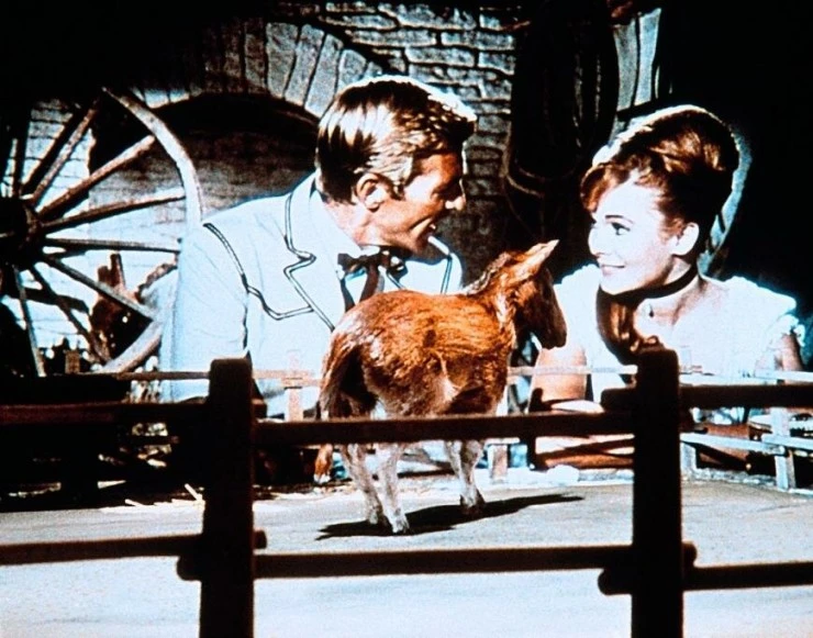 Долина Гванги (1969) смотреть онлайн Долина Гванги (1969) фильм смотреть онлайн