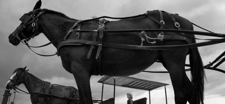 Саламанка (2015) смотреть онлайн Саламанка (2015) фильм смотреть онлайн