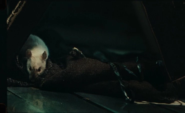 Последняя лента (2023) смотреть онлайн Последняя лента (2023) фильм смотреть онлайн