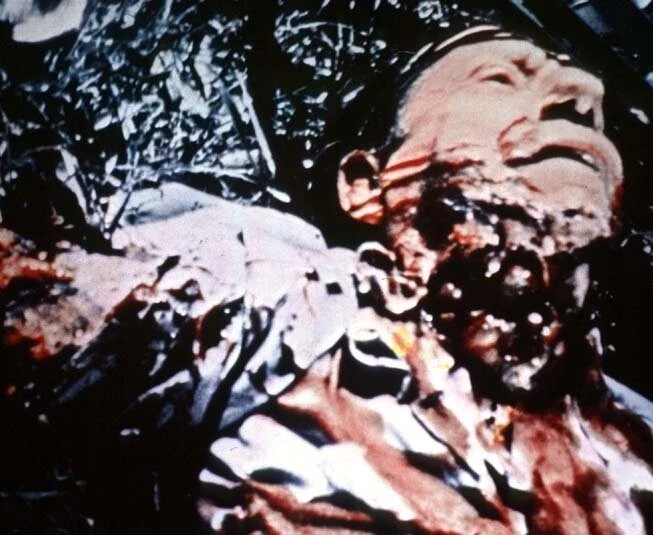 Дикие звери (1984) в хорошем качестве смотреть онлайн Дикие звери (1984) фильм в хорошем качестве смотреть онлайн