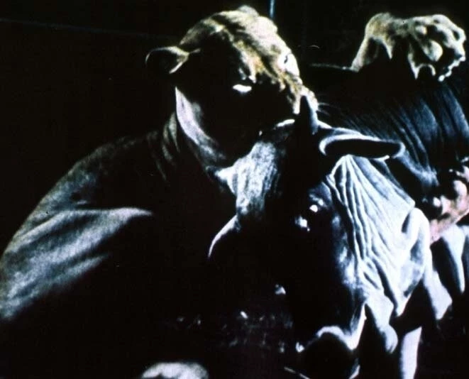 Дикие звери (1984) смотреть онлайн Дикие звери (1984) фильм смотреть онлайн