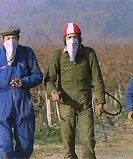 Гроздья смерти (1978) в хорошем качестве смотреть онлайн Гроздья смерти (1978) фильм в хорошем качестве смотреть онлайн