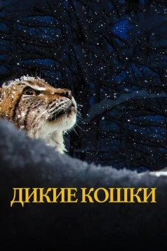 Дикие кошки / Lynx (2021) фильм смотреть онлайн в хорошем качестве