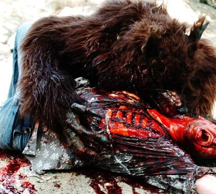 Ужасный волк (2009) смотреть онлайн Ужасный волк (2009) фильм смотреть онлайн