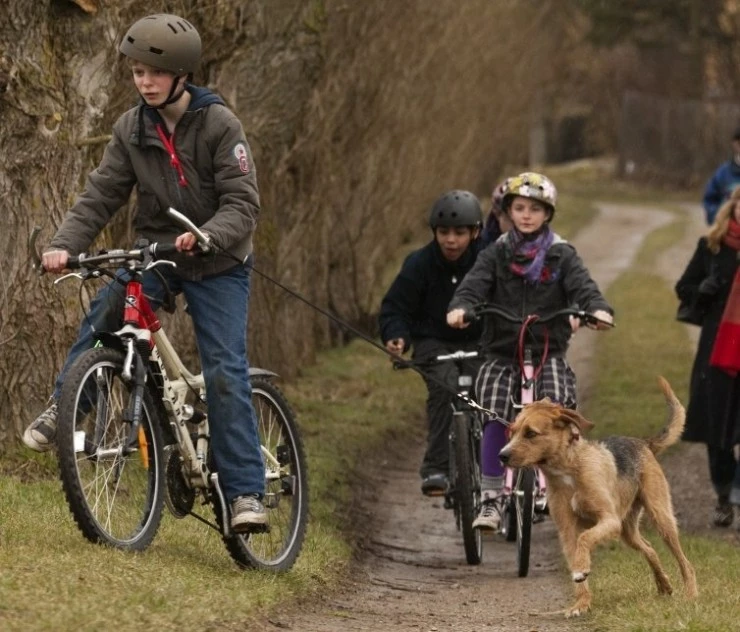 Шторм (2009) смотреть онлайн Шторм (2009) фильм смотреть онлайн