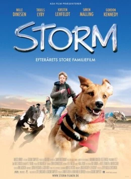 Шторм / Storm (2009) фильм смотреть онлайн в хорошем качестве