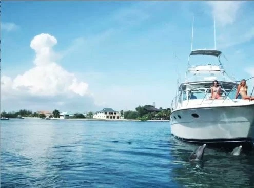 Приключения на Багамах (2010) смотреть онлайн Приключения на Багамах (2010) фильм смотреть онлайн