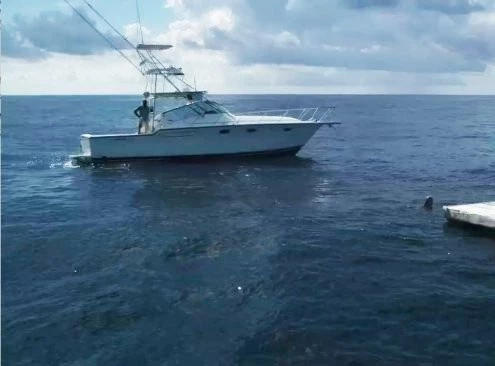 Приключения на Багамах (2010) смотреть онлайн бесплатно Приключения на Багамах (2010) фильм смотреть онлайн бесплатно