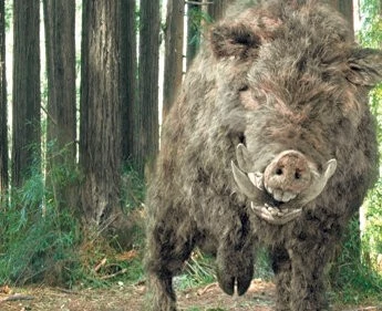 Кабан-убийца (2009) смотреть онлайн Кабан-убийца (2009) фильм смотреть онлайн