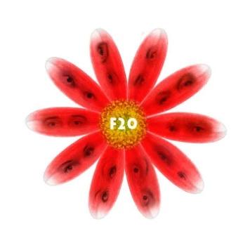 F20 (2011) фильм смотреть онлайн в хорошем качестве