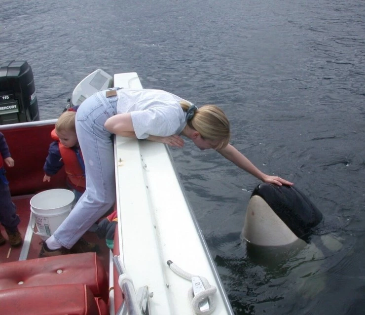 Кит (2011) смотреть онлайн Кит (2011) фильм смотреть онлайн