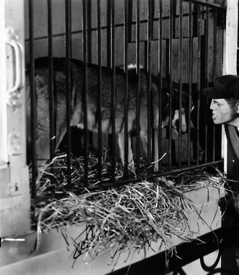 Лондонский оборотень (1935) смотреть онлайн Лондонский оборотень (1935) фильм смотреть онлайн