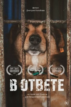 В ответе (2021) фильм смотреть онлайн в хорошем качестве